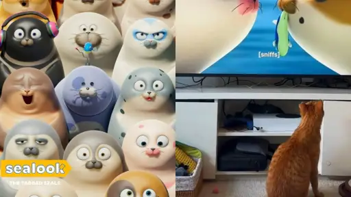 Mascotas reaccionando a Sealook, la nueva serie de Netflix. ,Captura de Pantalla/TikTok