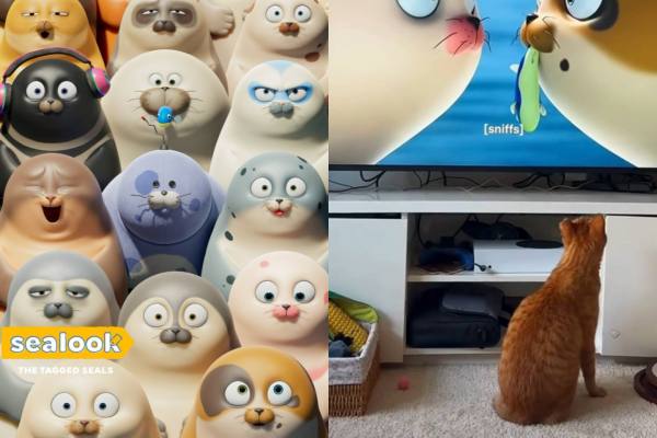 Mascotas reaccionando a Sealook, la nueva serie de Netflix. ,Captura de Pantalla/TikTok