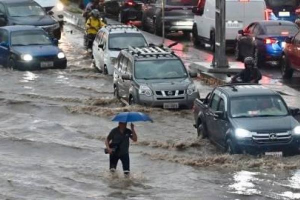 Mecánico revisando el motor de un automóvil